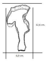 Zwangere met paraplu-3968