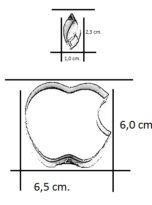 Appel met ‘n hapje / apple rvs-4587