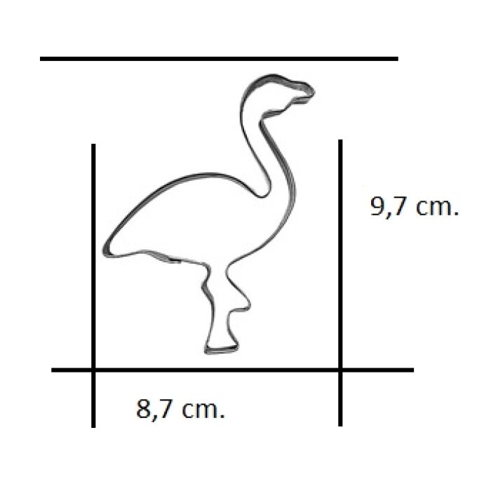 Flamingo groot-4625